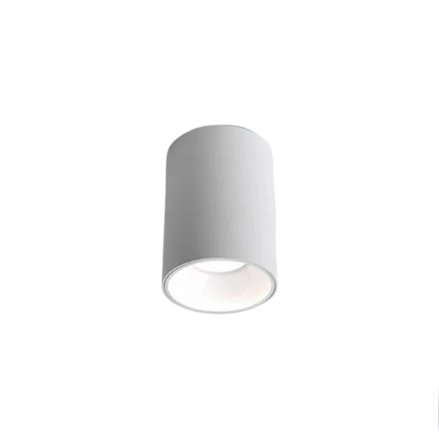 CEILING CAN SPOTLIGHT