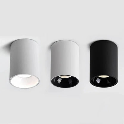 CEILING CAN SPOTLIGHT