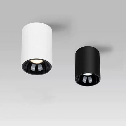 CEILING CAN SPOTLIGHT