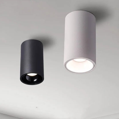 CEILING CAN SPOTLIGHT