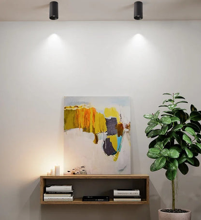CEILING CAN SPOTLIGHT