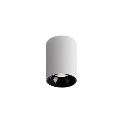 CEILING CAN SPOTLIGHT